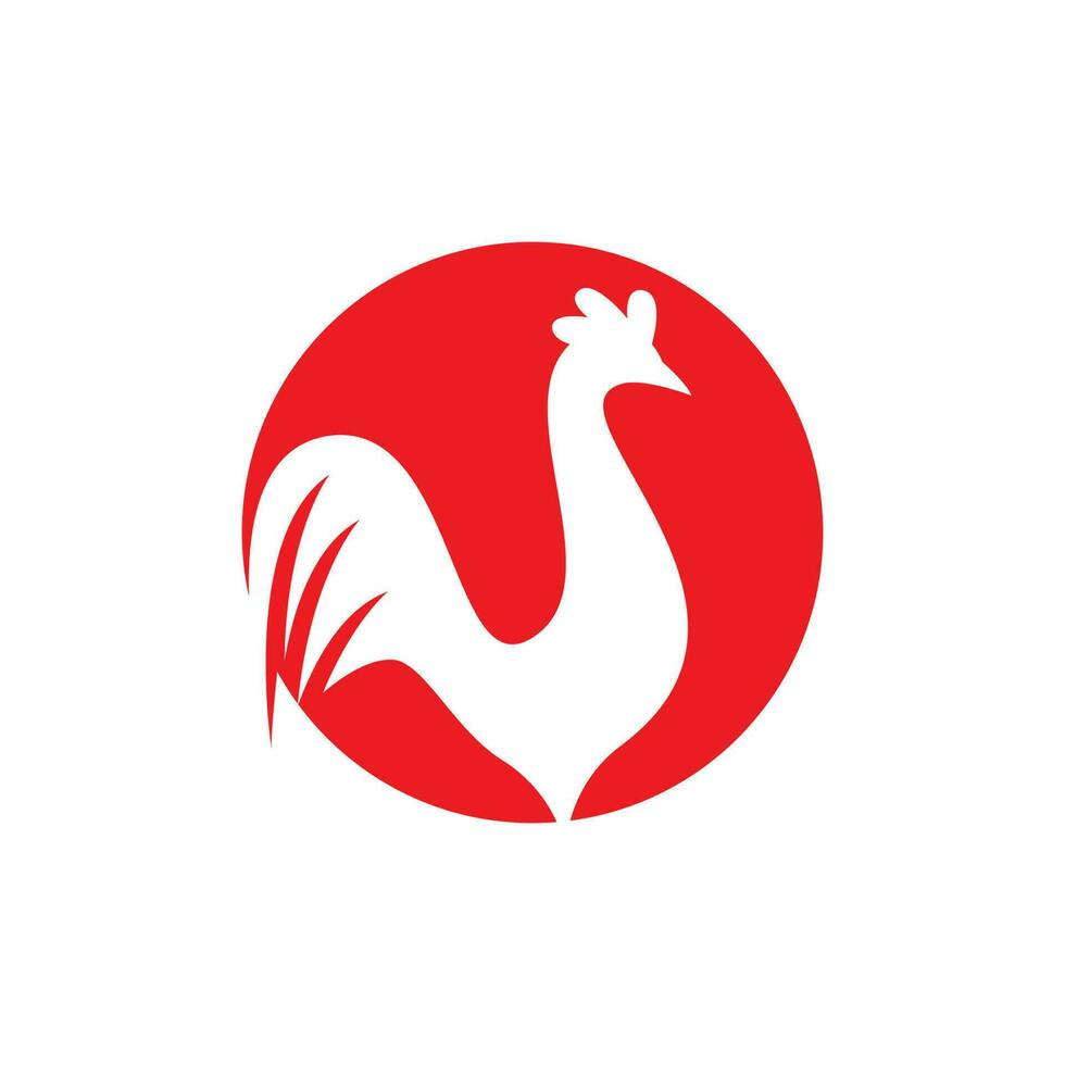 modello di logo del gallo vettore