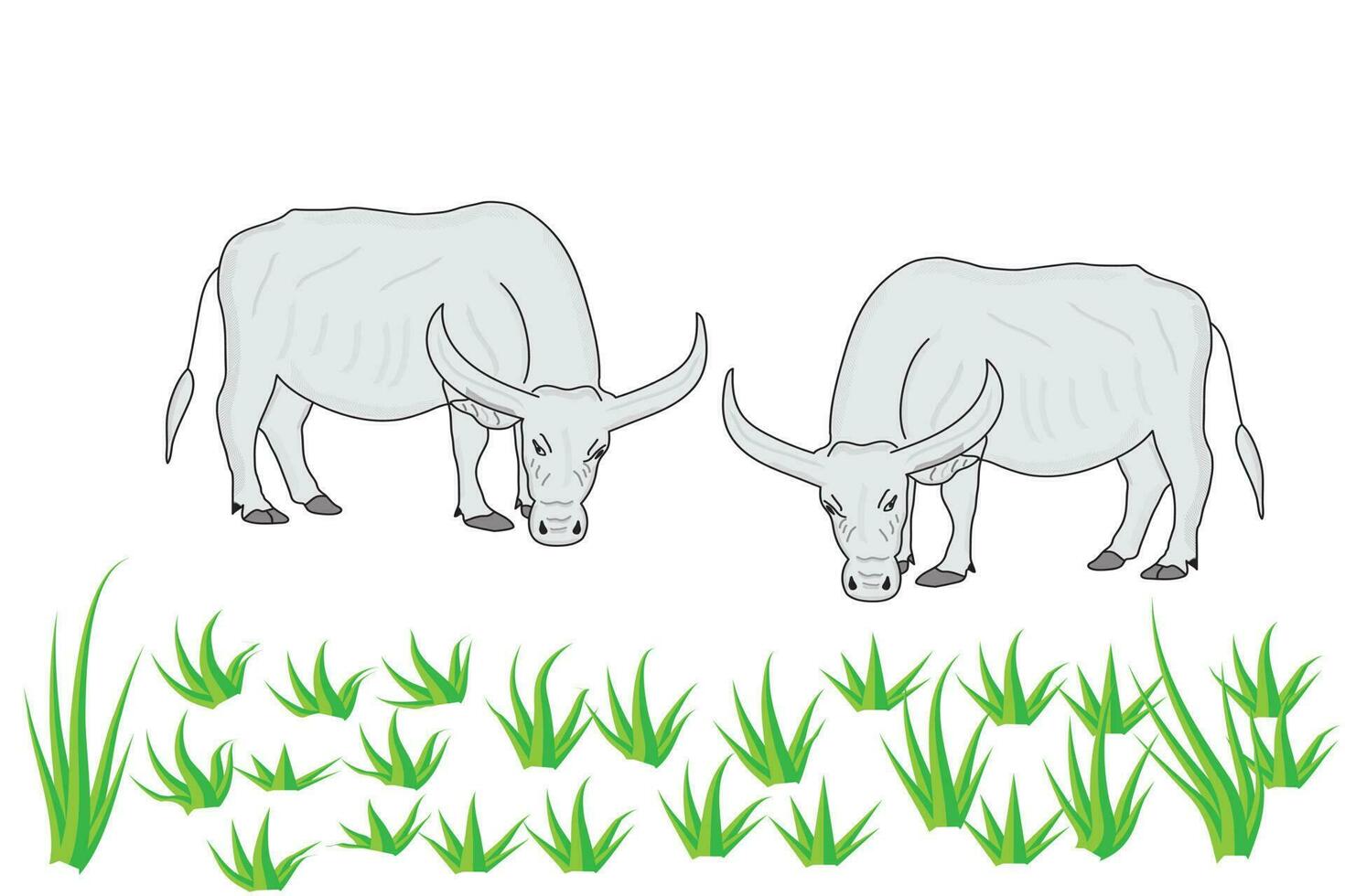 bufalo mangiare verde erba su riso campo nel campagna nel Asia, vettore illustrazione su bianca sfondo con islated