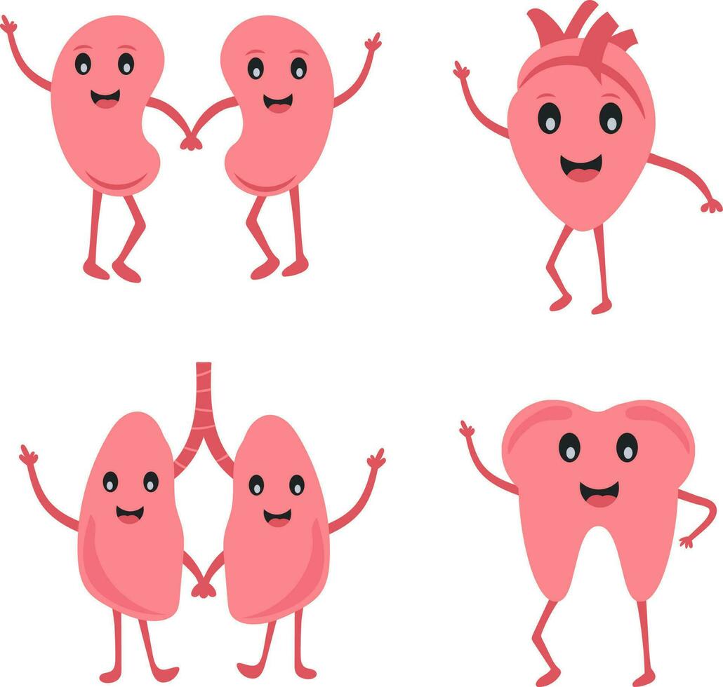 umano organo cartone animato personaggio impostato di rene, cuore, polmoni, dentale vettore
