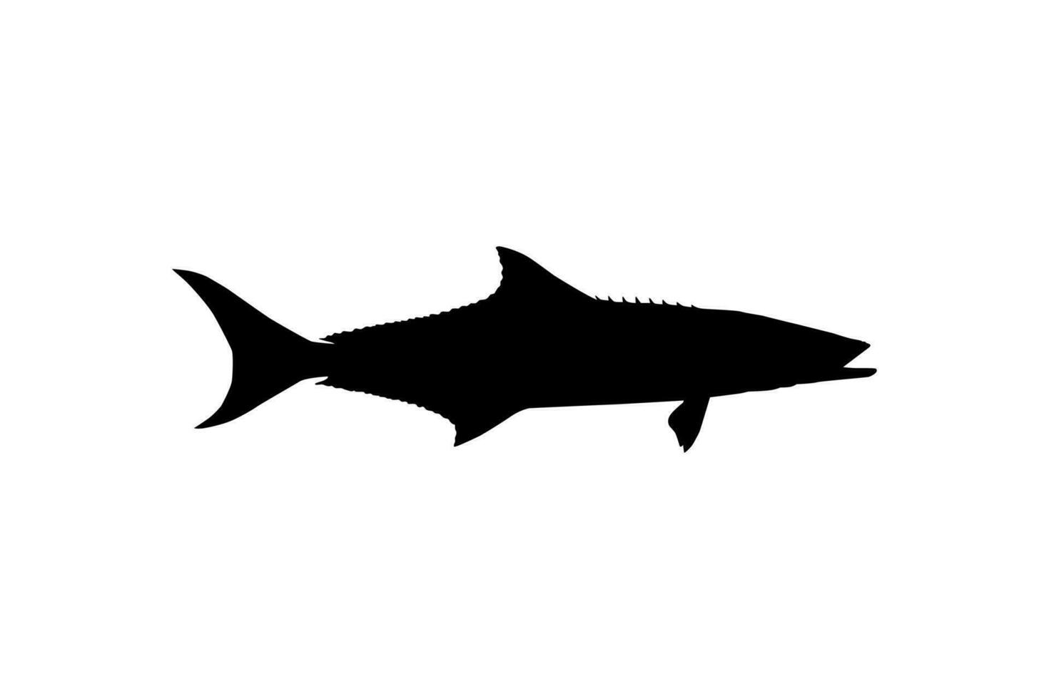 cobia pesce silhouette, anche conosciuto come nero pesce re, nero salmone, ling, pesce limone, mangiatore di granchi, prodigo figlio, baccalà, e nero bonito. vettore illustrazione