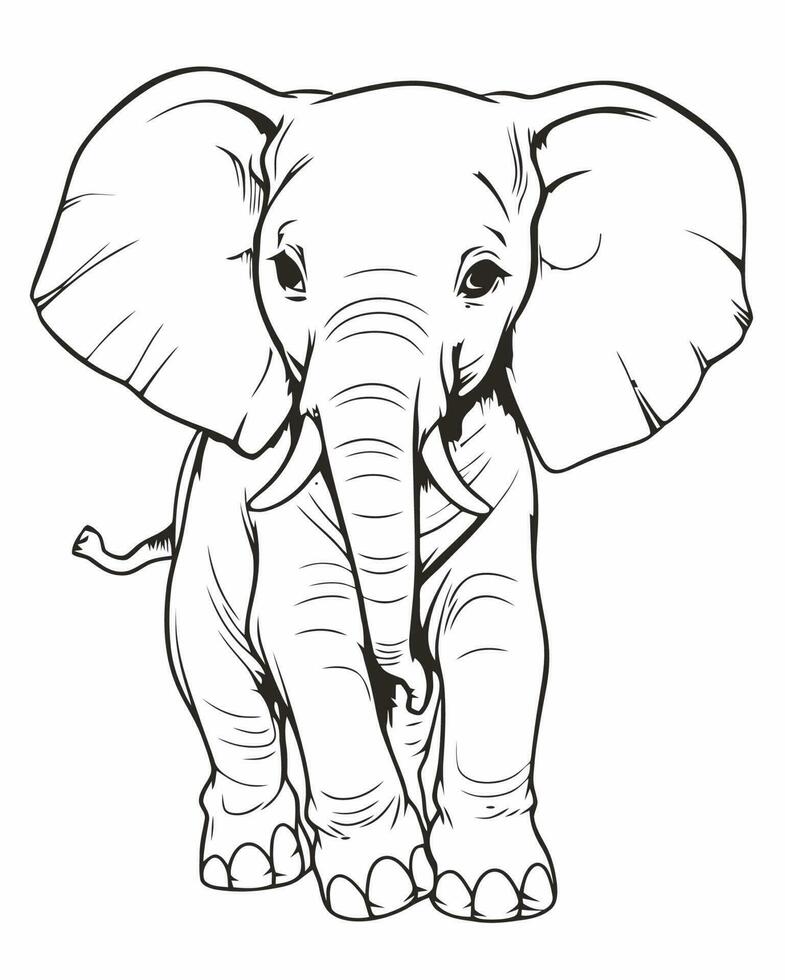 Pagina da colorare di elefanti vettore