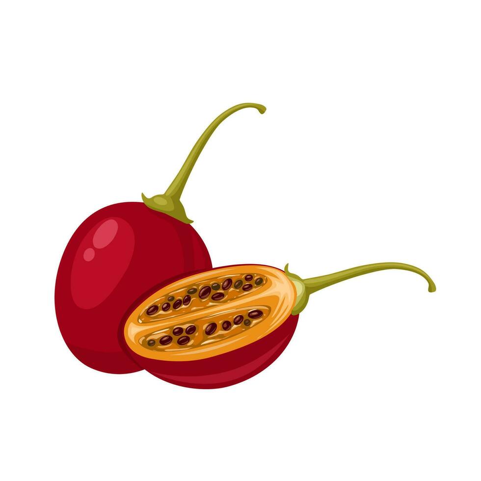 vettore illustrazione, tamarillo o Solanum betaceo, isolato su bianca sfondo.