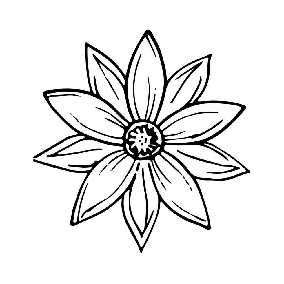 papaveri fiori continuo linea disegno. modificabile linea. nero e bianca arte. illustrazione. vettore