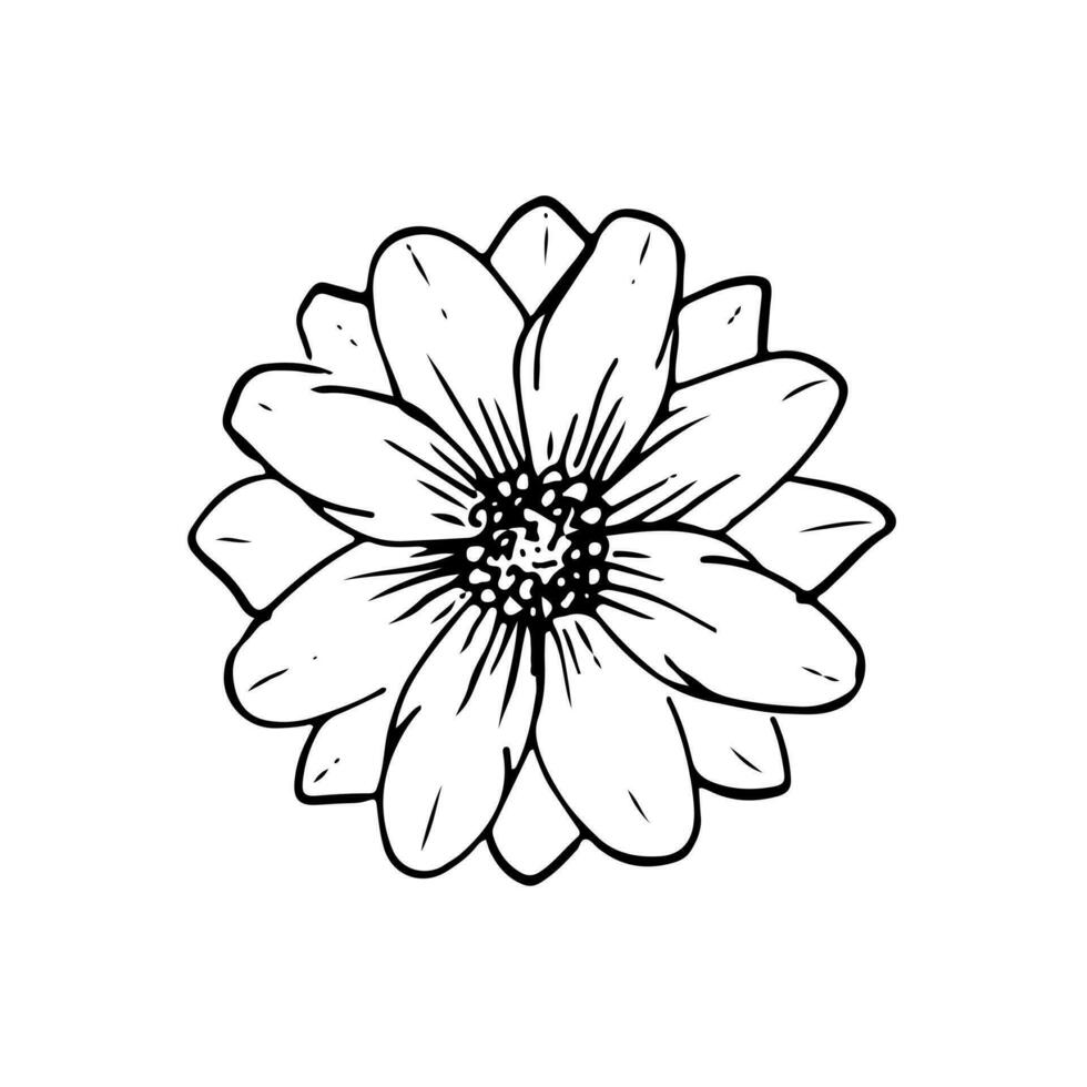 papaveri fiori continuo linea disegno. modificabile linea. nero e bianca arte. illustrazione. vettore