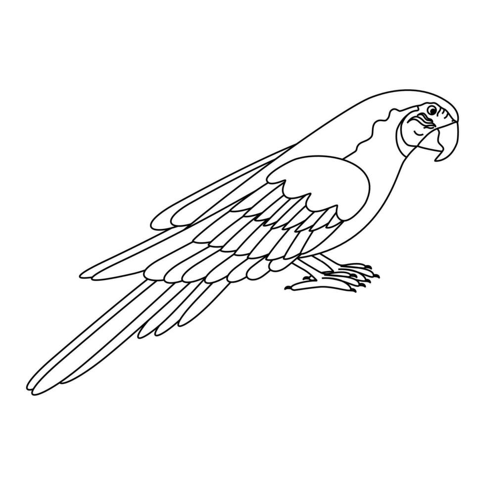 carino, cartone animato pappagallo uccello. linea arte. vettore