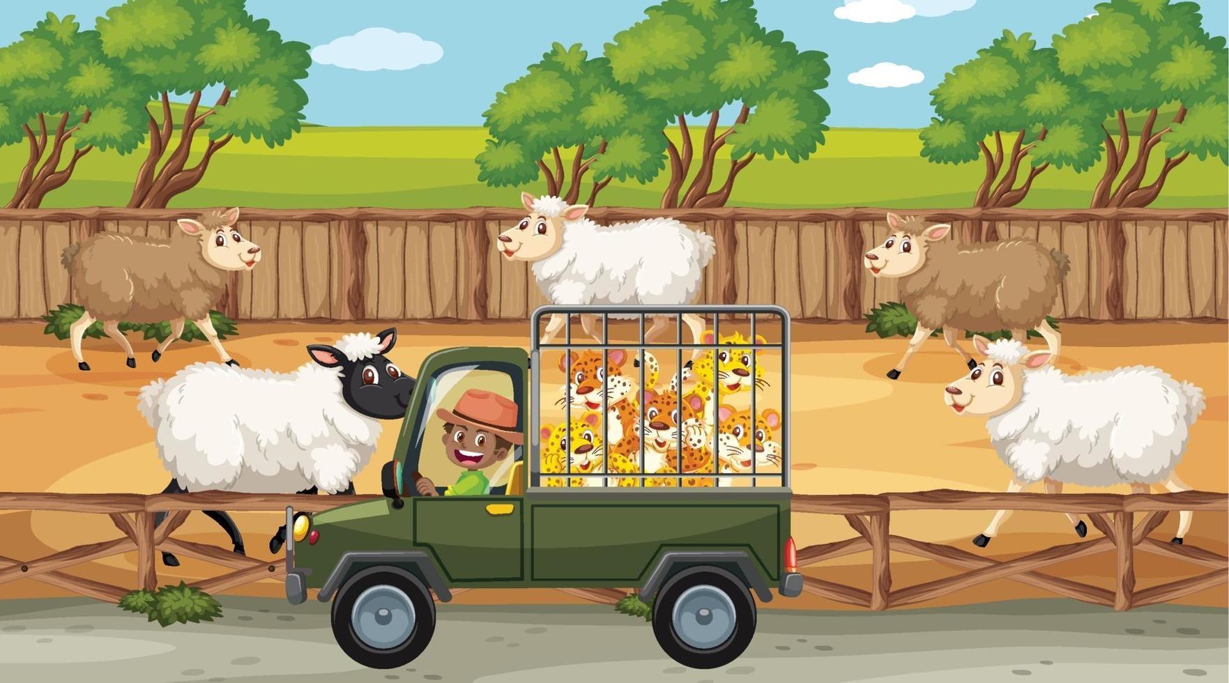 scene di safari con molte pecore e personaggi dei cartoni animati per bambini vettore