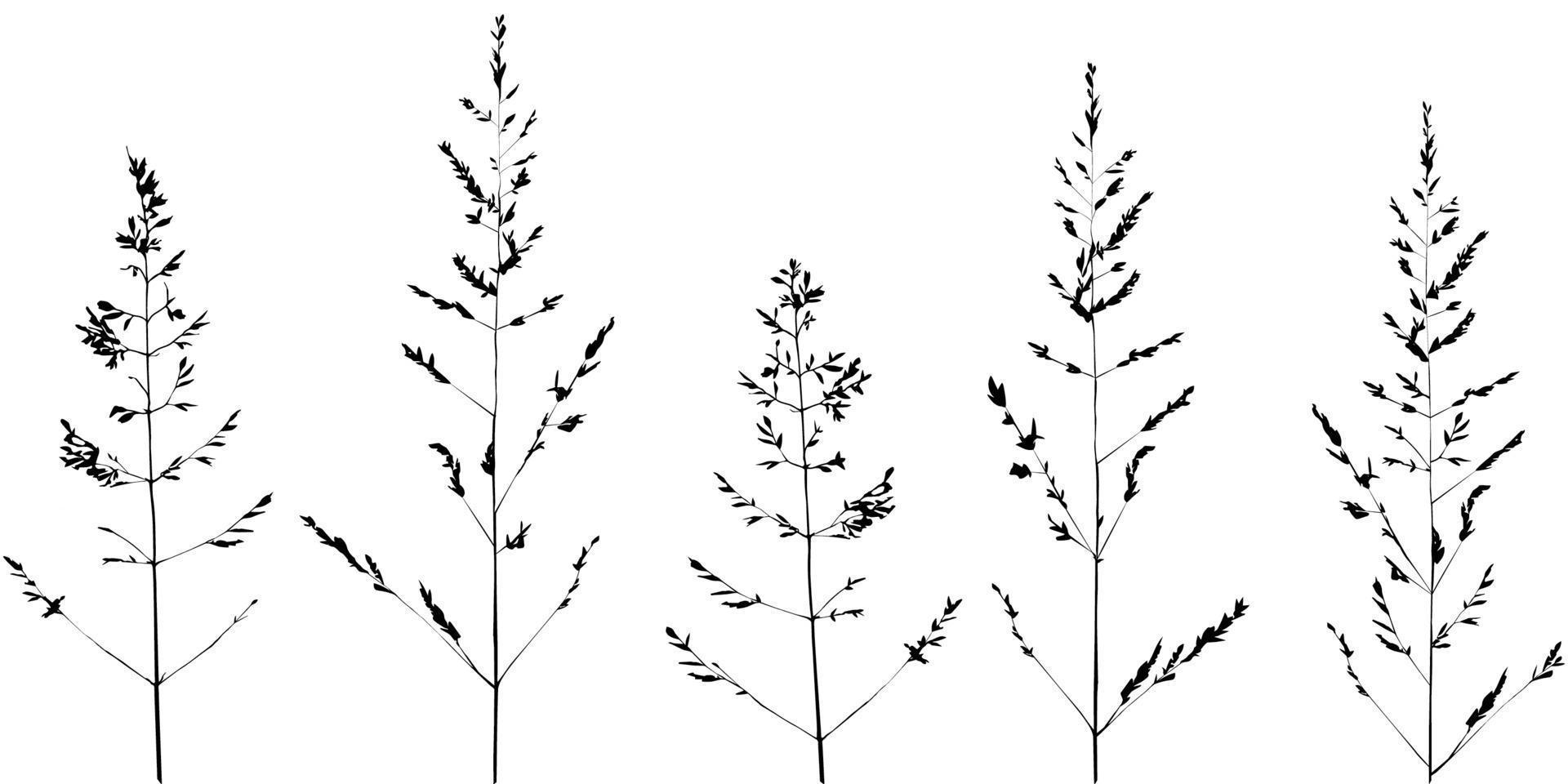 set di semplici ramoscelli, erba selvatica. schizzo, linee nere su bianco. per un arredamento moderno. vettore