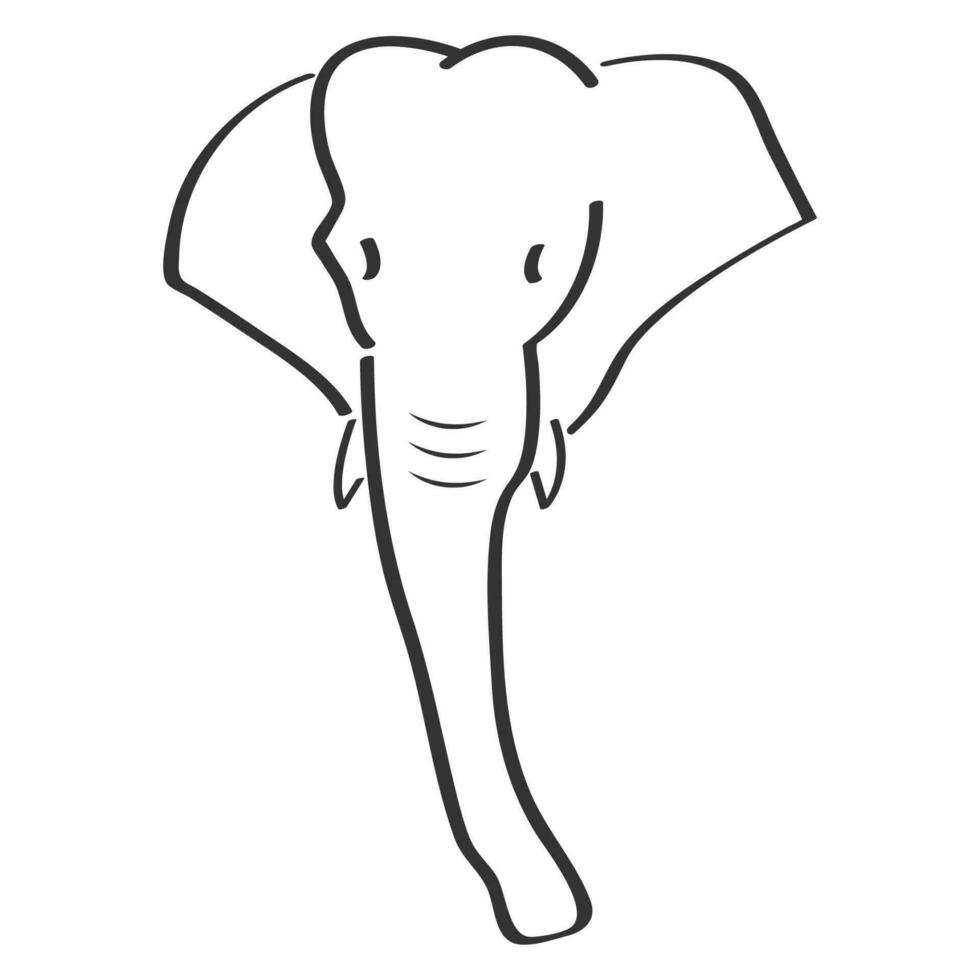 elefante vettore illustrazione design