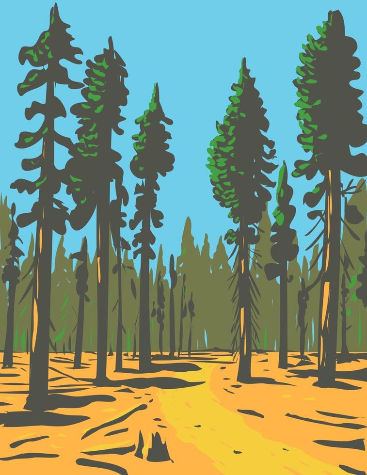 sequoie giganti che crescono nella sezione general grant trail e grove del parco nazionale di greater kings canyon situato in california wpa poster art vettore