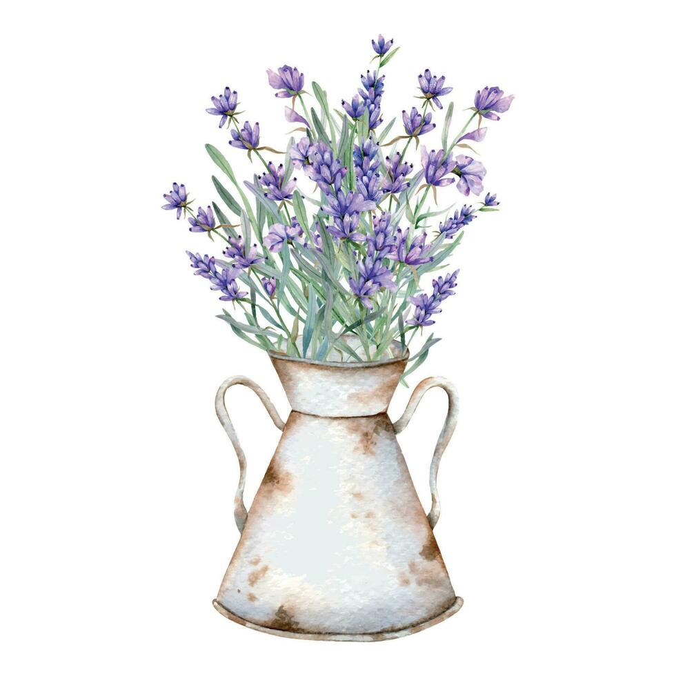 lavanda acquerello illustrazione. provence erbe aromatiche mano dipinto isolato su bianca sfondo. Perfetto per nozze inviti, bridal doccia e floreale saluto carte vettore