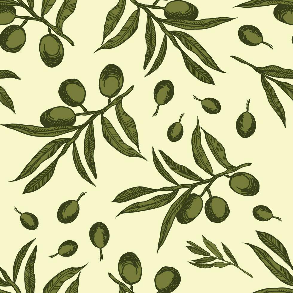 vettore grafica di oliva rami. modello su un' leggero sfondo. senza soluzione di continuità modello con oliva rami grafica. grafico sfondo con verde olive. monocromatico oliva rami.