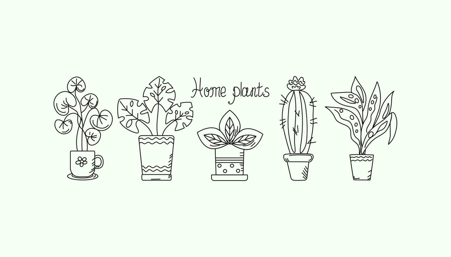 casa pianta nel un' pentola. impostato di in vaso impianti. cactus, succulento, foglie, fiori. linea disegni. vettore grafico.