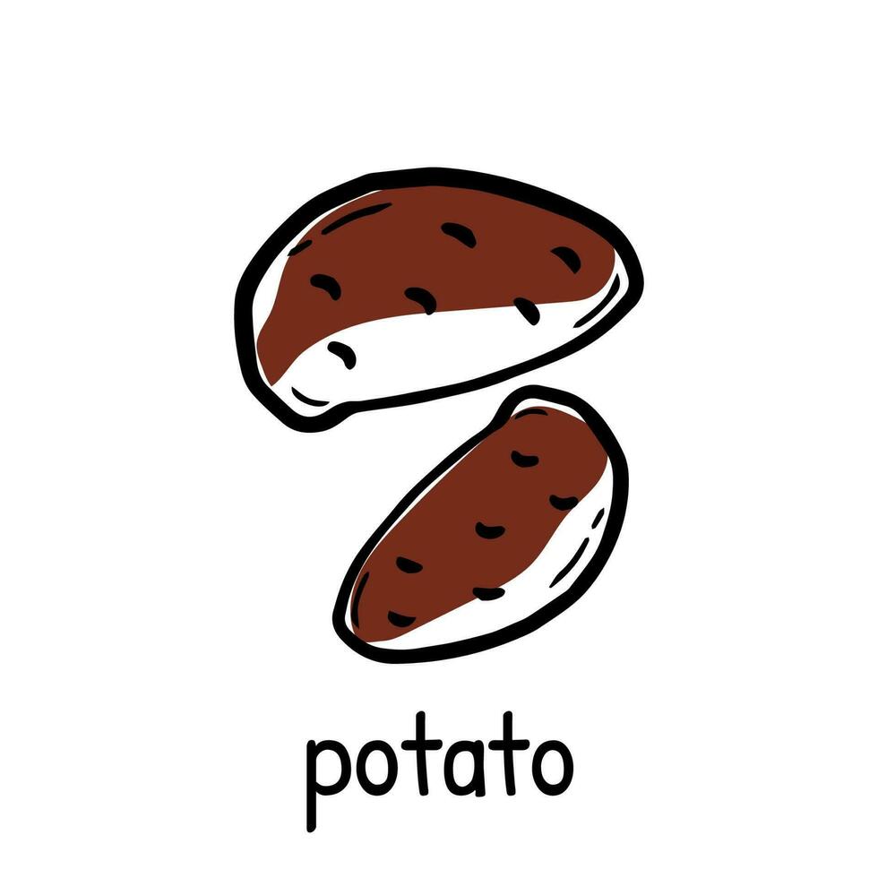icona di doodle di contorno di patate disegnato a mano di vettore. illustrazione dello schizzo dell'amido per stampa, web, mobile e infografica isolati su sfondo bianco. vettore