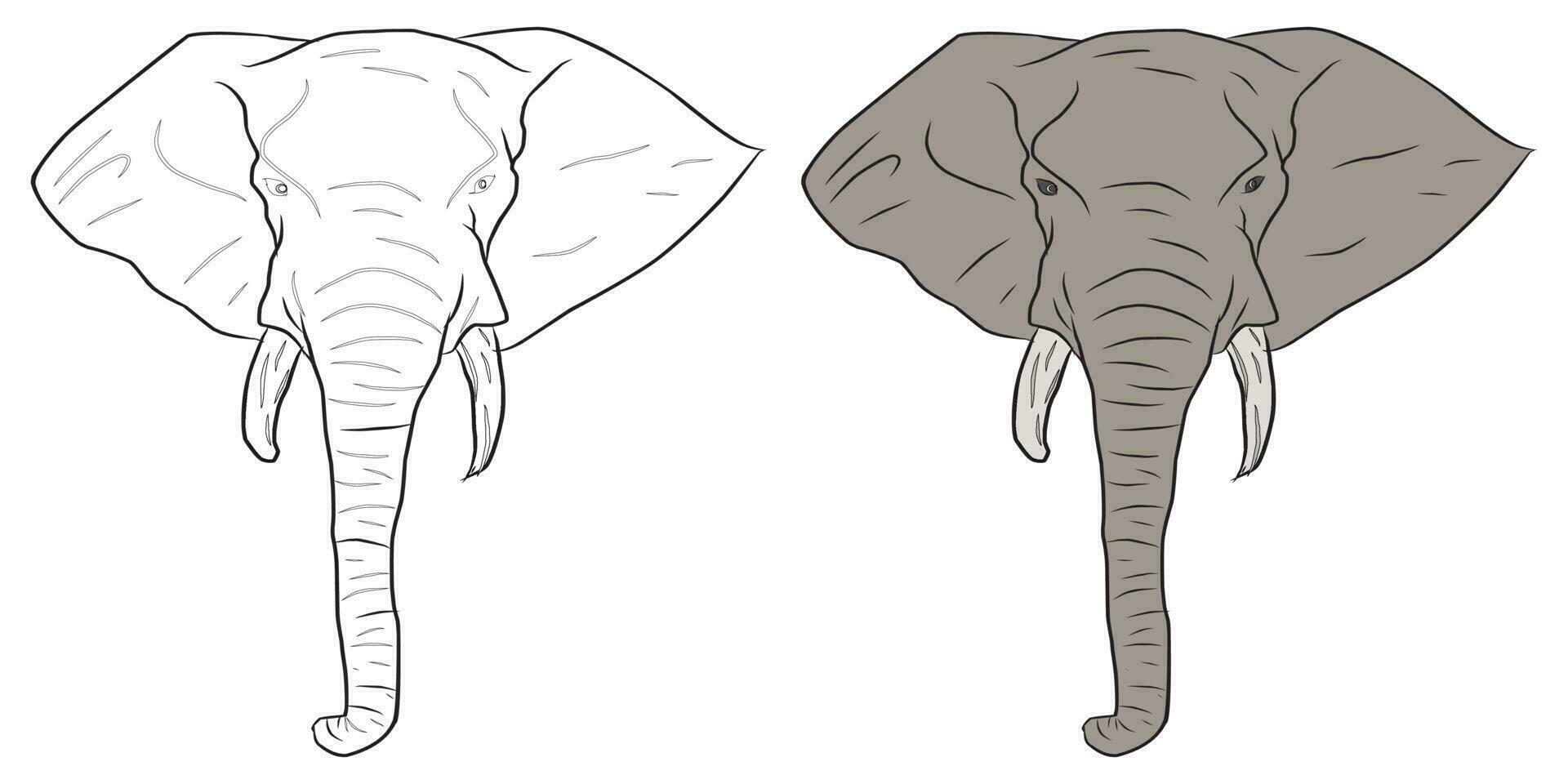 immagini per formazione scolastica colorazione elefante teste, adatto per disegno libri, colorazione applicazioni e Di Più vettore