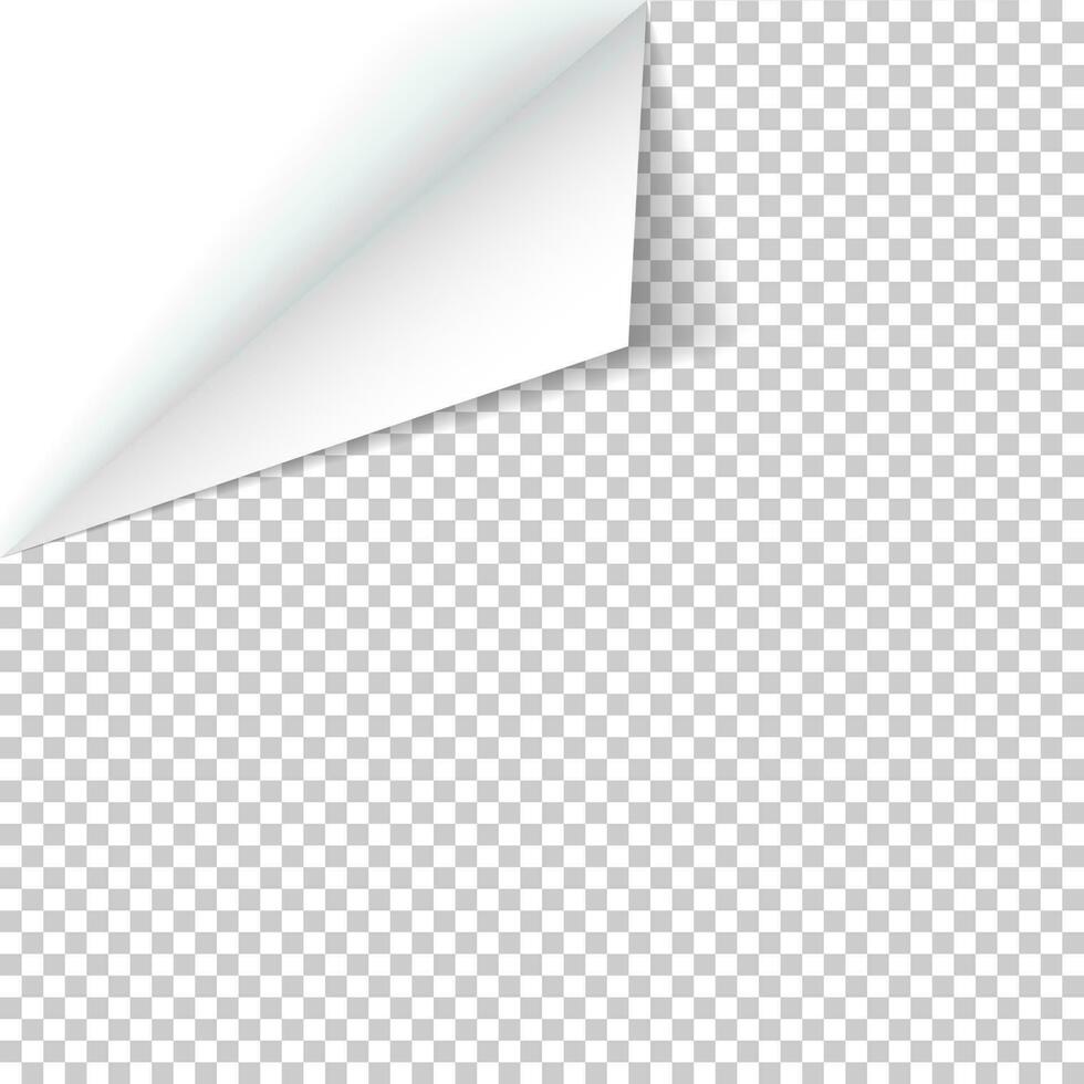 foglio di carta con arricciato angolo e morbido ombra, modello per il tuo design. vettore illustrazione