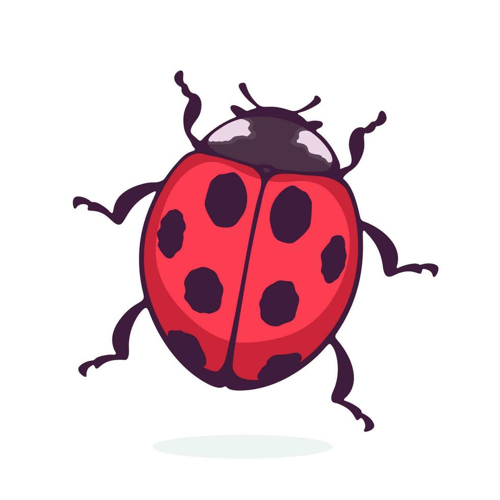 cartone animato illustrazione di coccinella superiore Visualizza con contorno. rosso insetto con nero macchie vettore