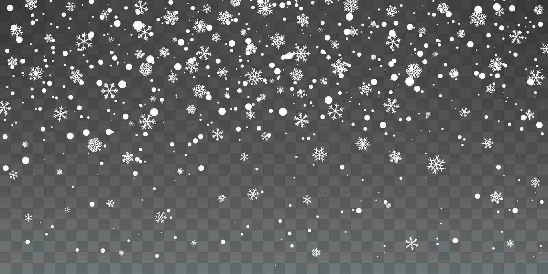Natale neve. pesante nevicata. caduta i fiocchi di neve su trasparente sfondo. bianca i fiocchi di neve volante nel il aria. vettore illustrazione