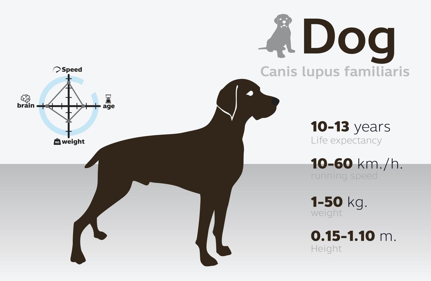 illustrazione delle informazioni del cane su uno sfondo vettoriale 10