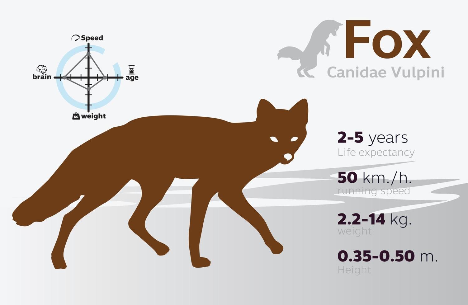 illustrazione delle informazioni della volpe su uno sfondo vettoriale 10