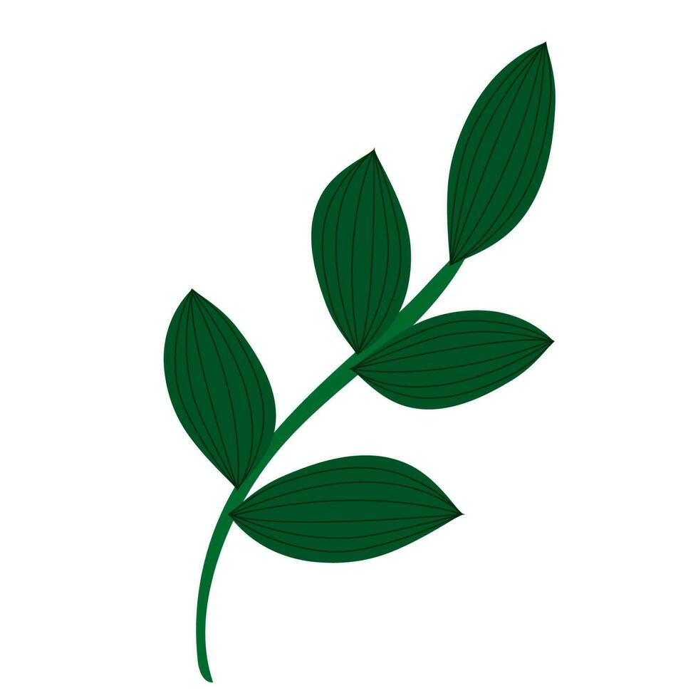 verde ramoscello su un' bianca sfondo. design per logo, volantino, marca libro vettore