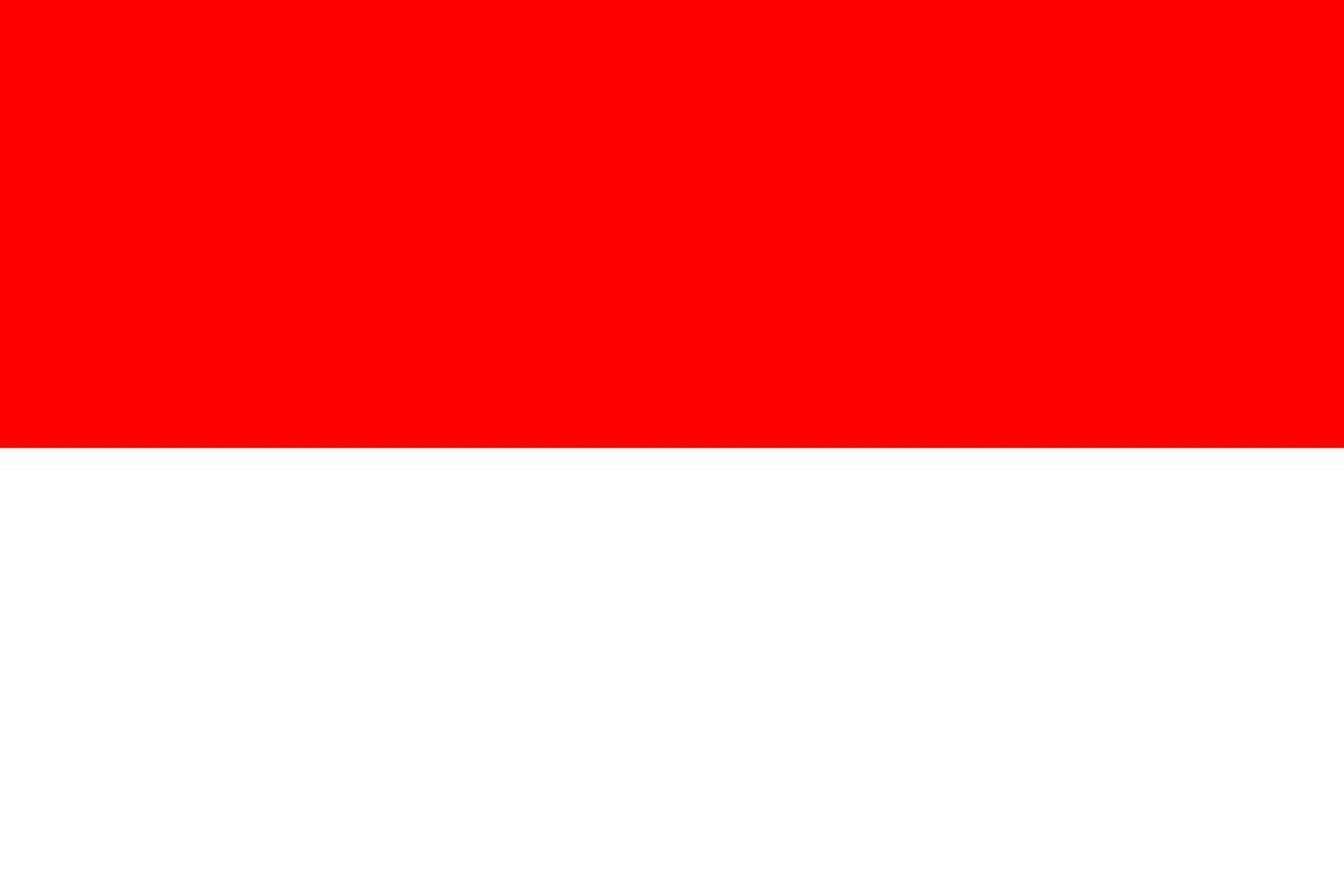 bandiera dell'indonesia, colori ufficiali e proporzione. illustrazione vettoriale. vettore