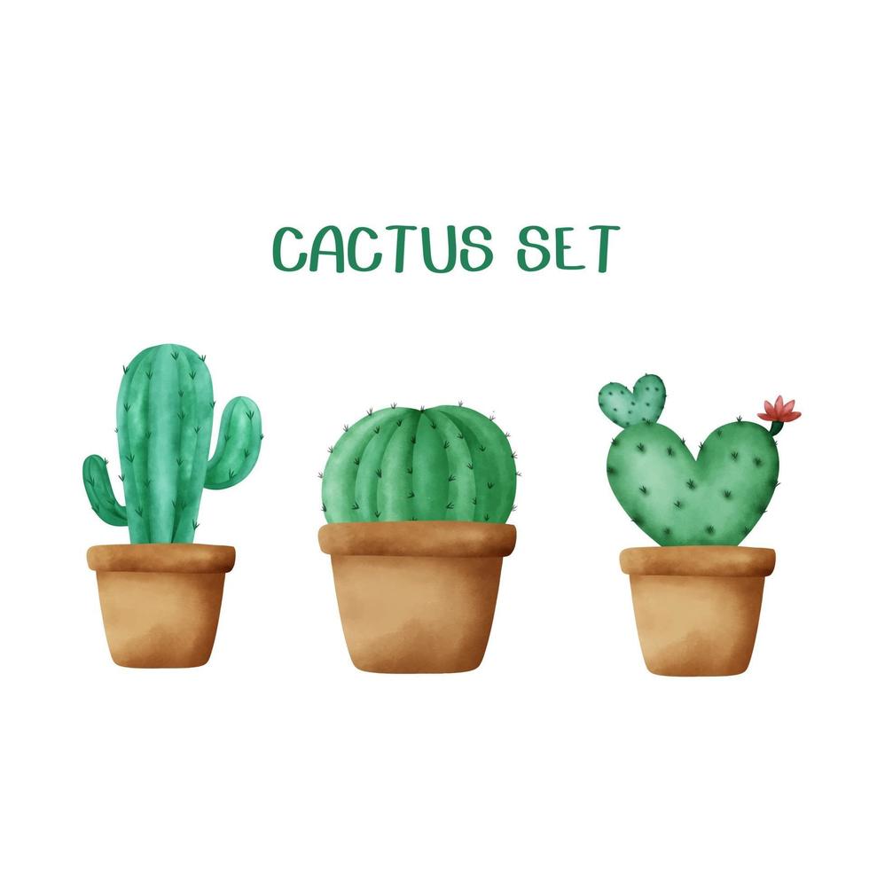 set di cactus disegnati a mano ad acquerello vettore