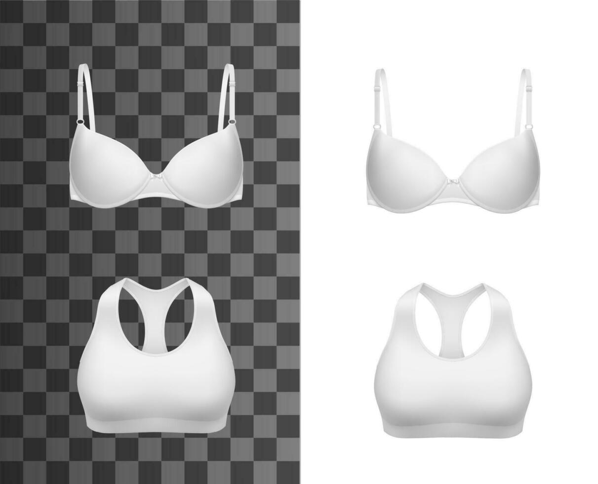 donna reggiseno realistico modello, 3d Abiti, biancheria intima vettore