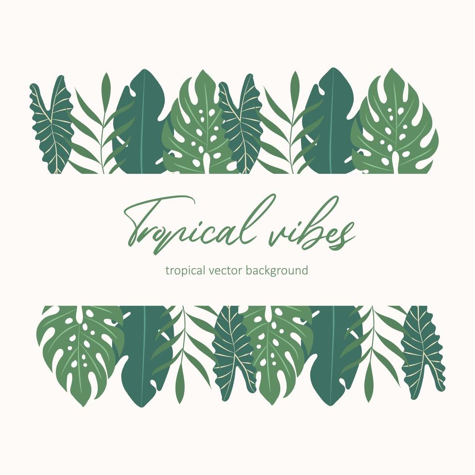 sfondo moderno tropicale con con monstera e foglie di palma vettore