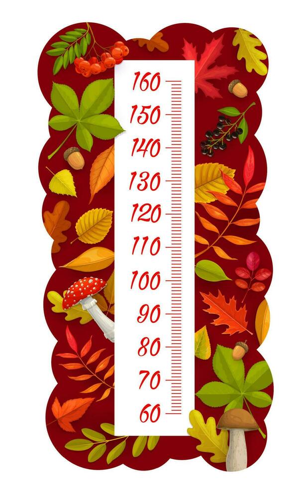 bambini altezza grafico, autunno foglie, bacca, fungo vettore