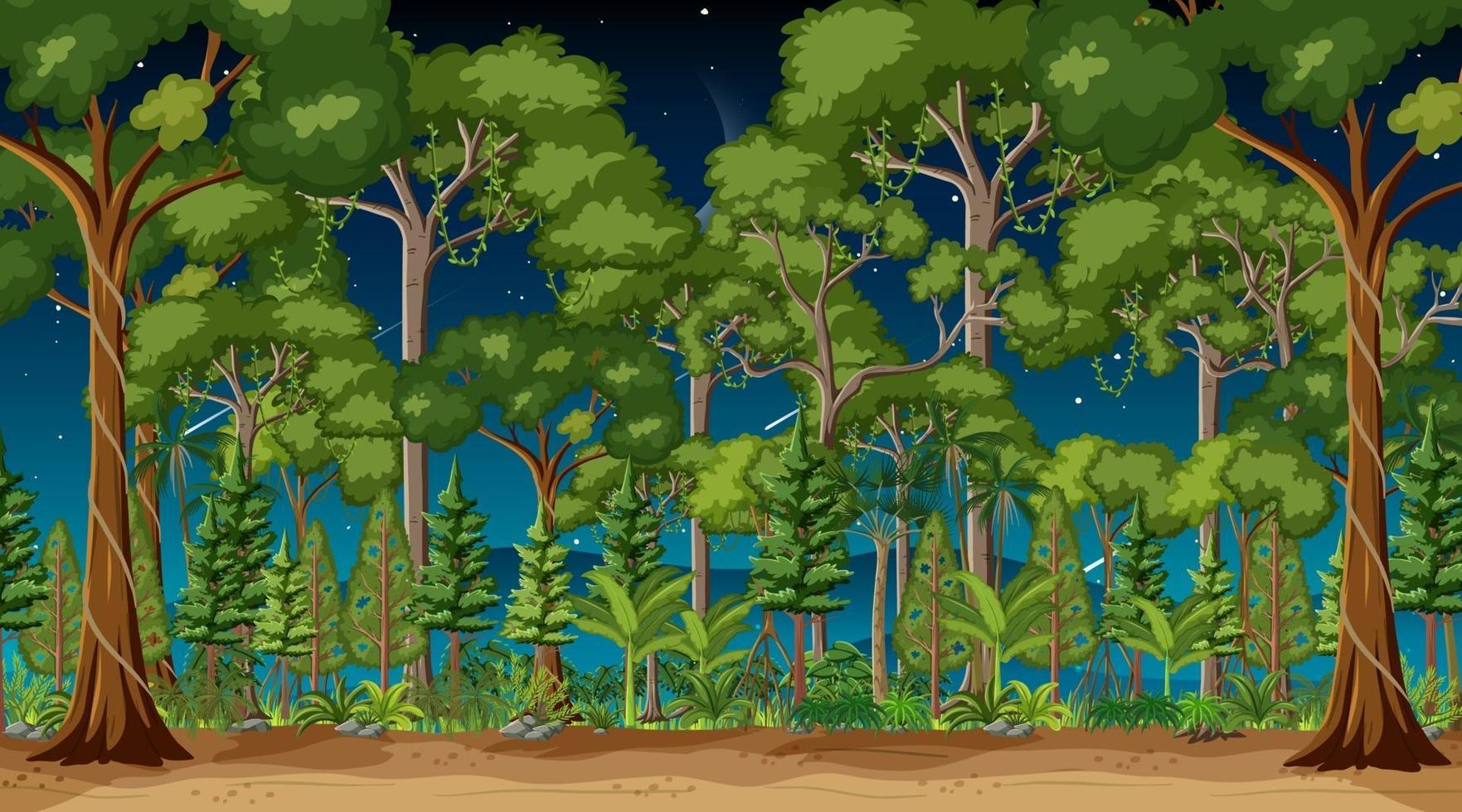 scena del paesaggio forestale di notte con molti alberi vettore