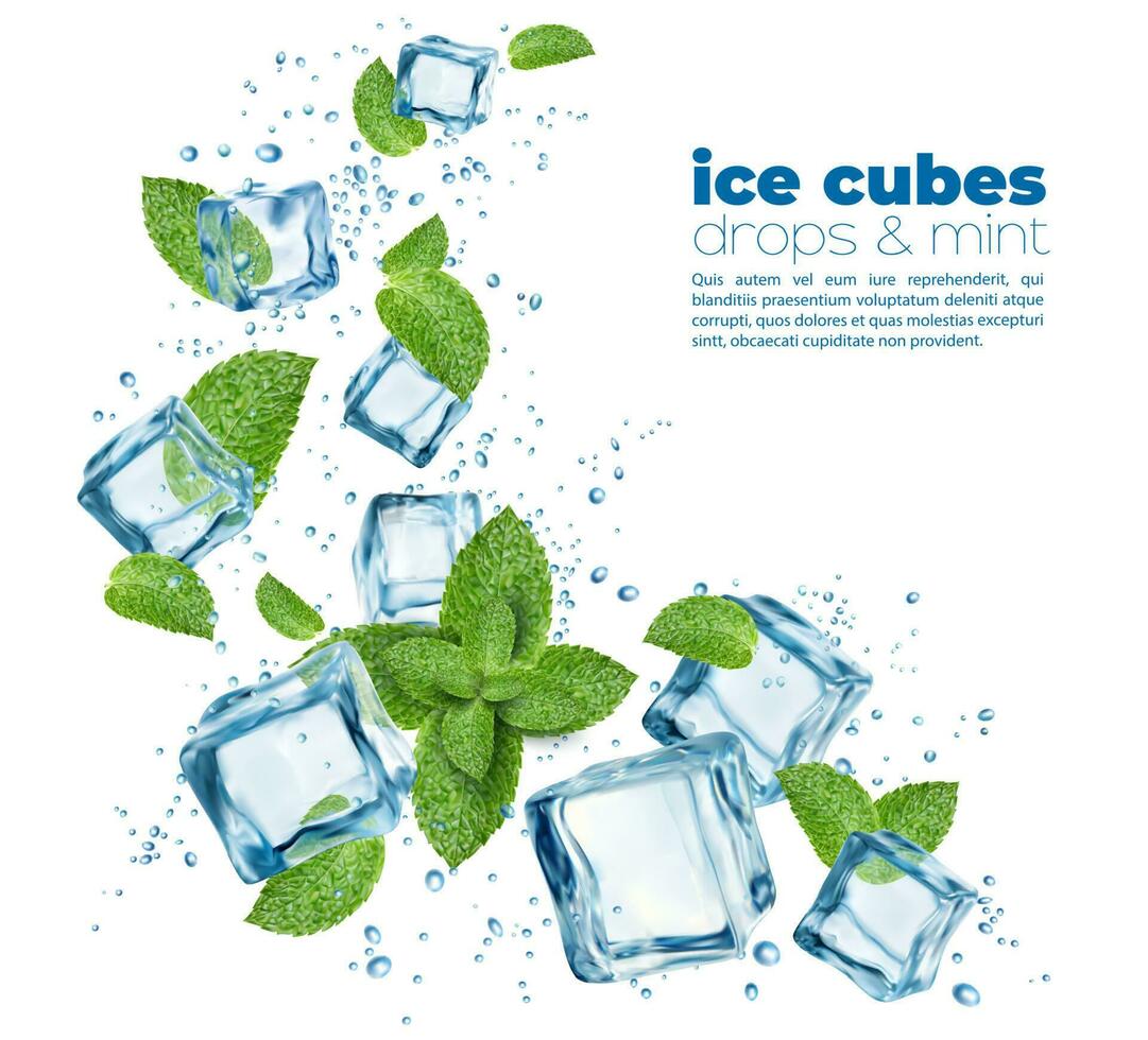 pulito acqua, ghiaccio cristallo cubi, menta e bolle vettore