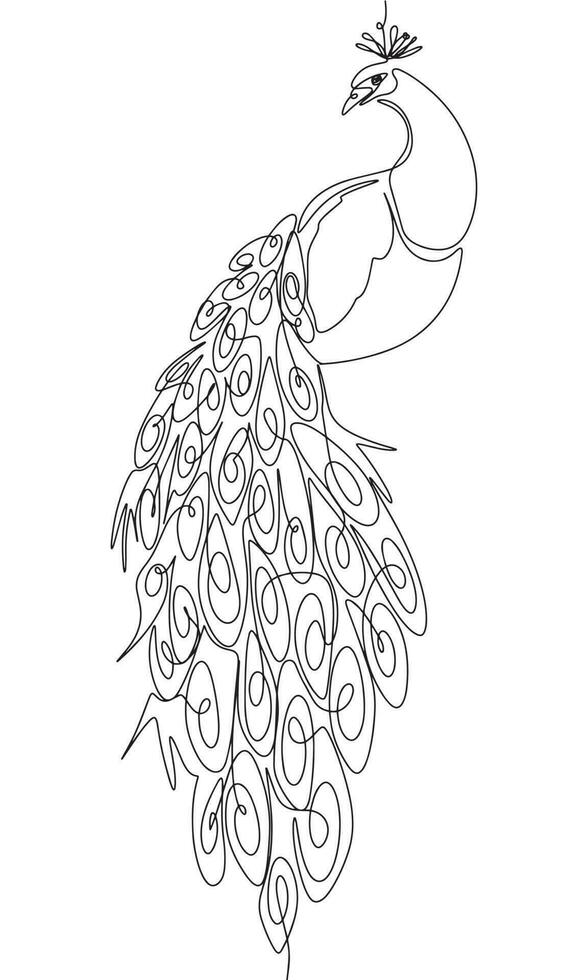 il pavone è seduta isolato su bianca sfondo. uno linea continuo uccello. linea arte bellissimo uccello pavone, schema vettore illustrazione.