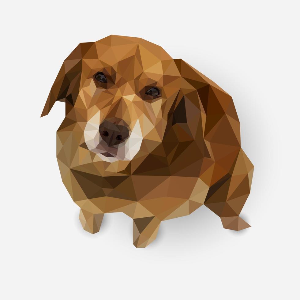 simpatico cane low poly illustrazione vettore