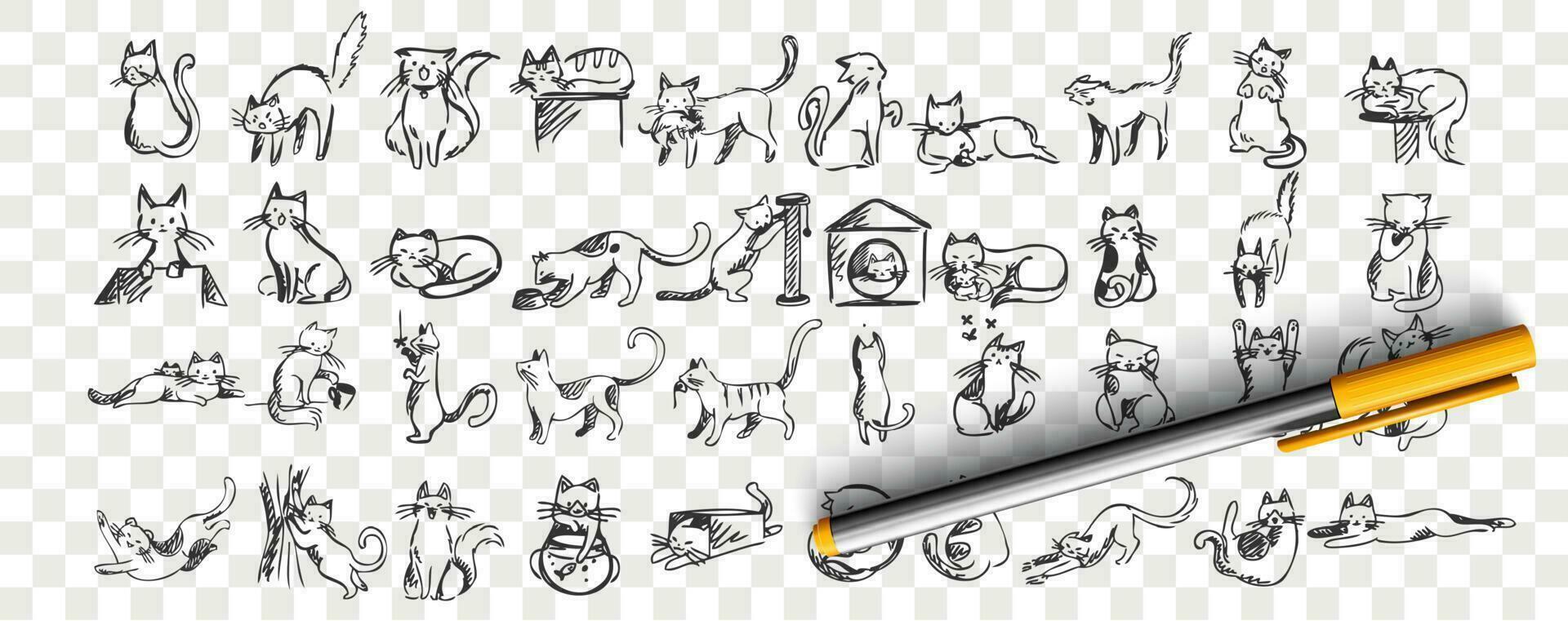 gatti scarabocchio impostare. collezione di mano disegnato matita schizzi modelli modelli di adorabile animali domestici gattino gattino addormentato allungamento giocando con palla nascondiglio nel scatola o cestino. illustrazione dmestic animali. vettore