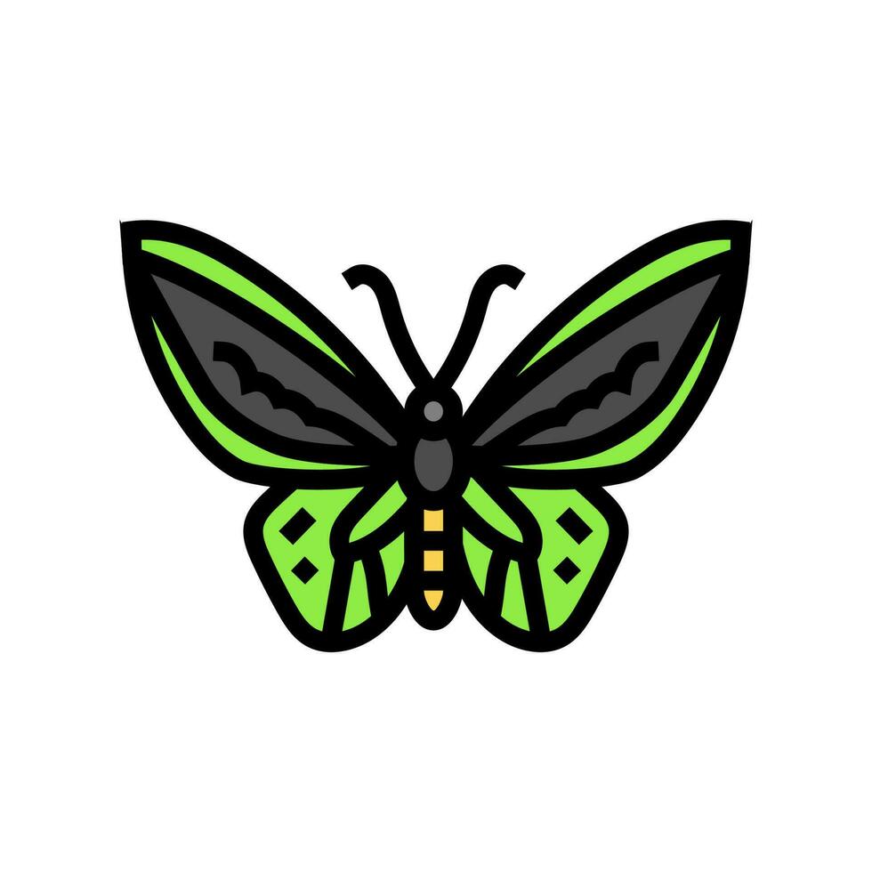 capo York ali d'uccello insetto colore icona vettore illustrazione