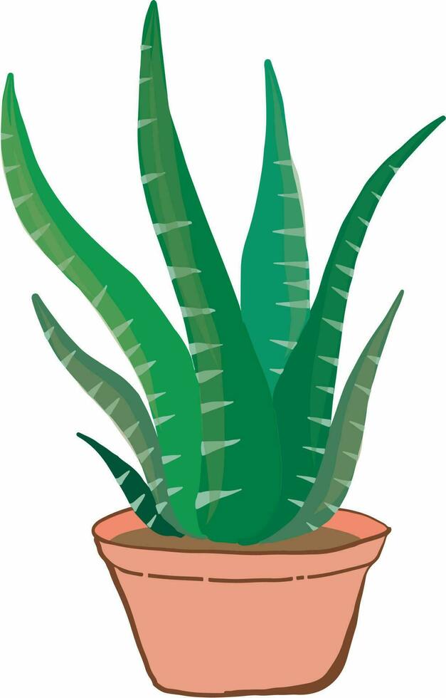 aloe Vera pianta nel il pentola vettore