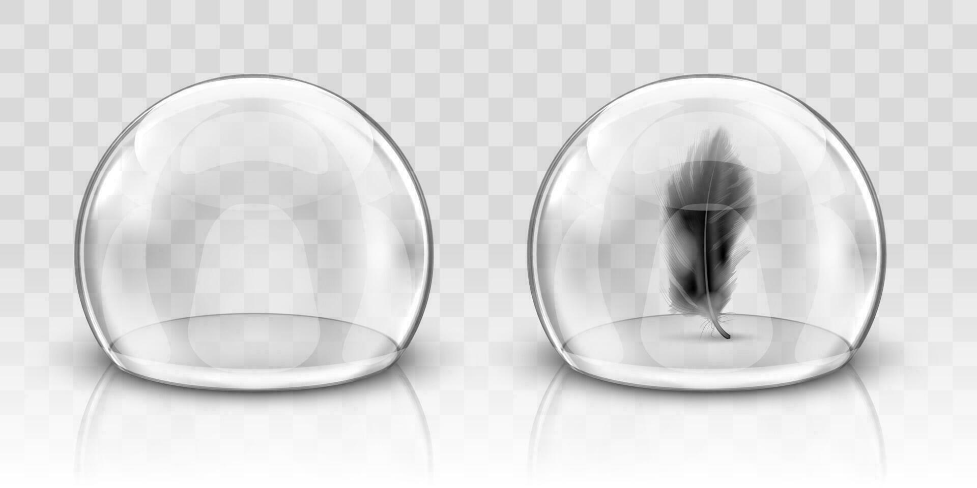bicchiere cupola o sfera e nero piuma realistico vettore