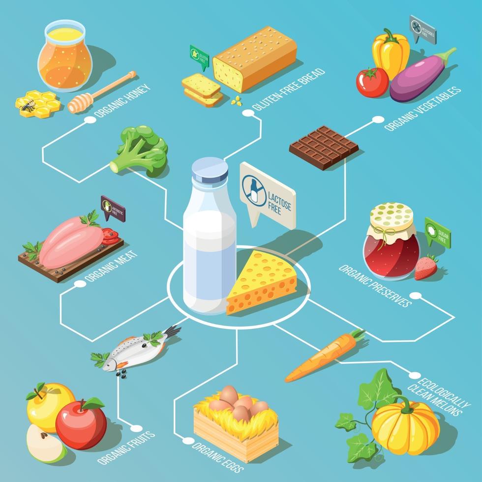 illustrazione vettoriale di diagramma di flusso isometrico di alimenti biologici