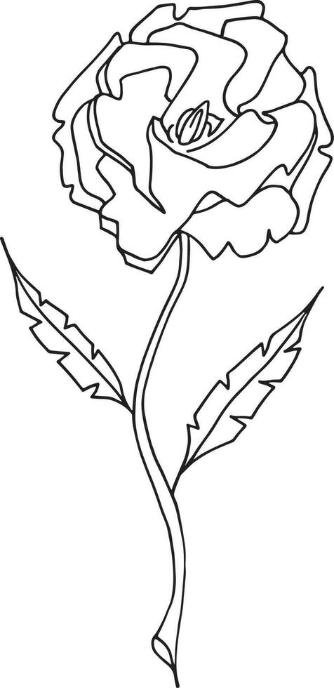 rosa, mano disegnato vettore illustrazione, floreale linea disegno, impostato di monocromatico fiore, linea arte, nero e bianca, illustrazione, vettore