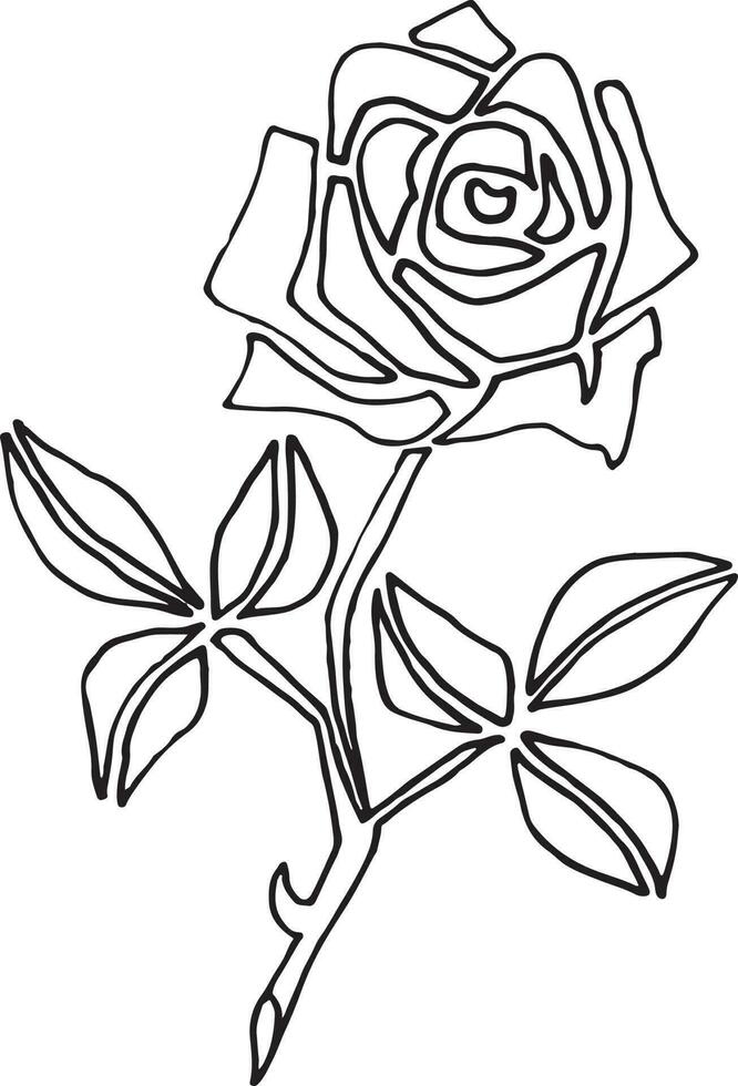 rosa, mano disegnato vettore illustrazione, floreale linea disegno, impostato di monocromatico fiore, linea arte, nero e bianca, illustrazione, vettore