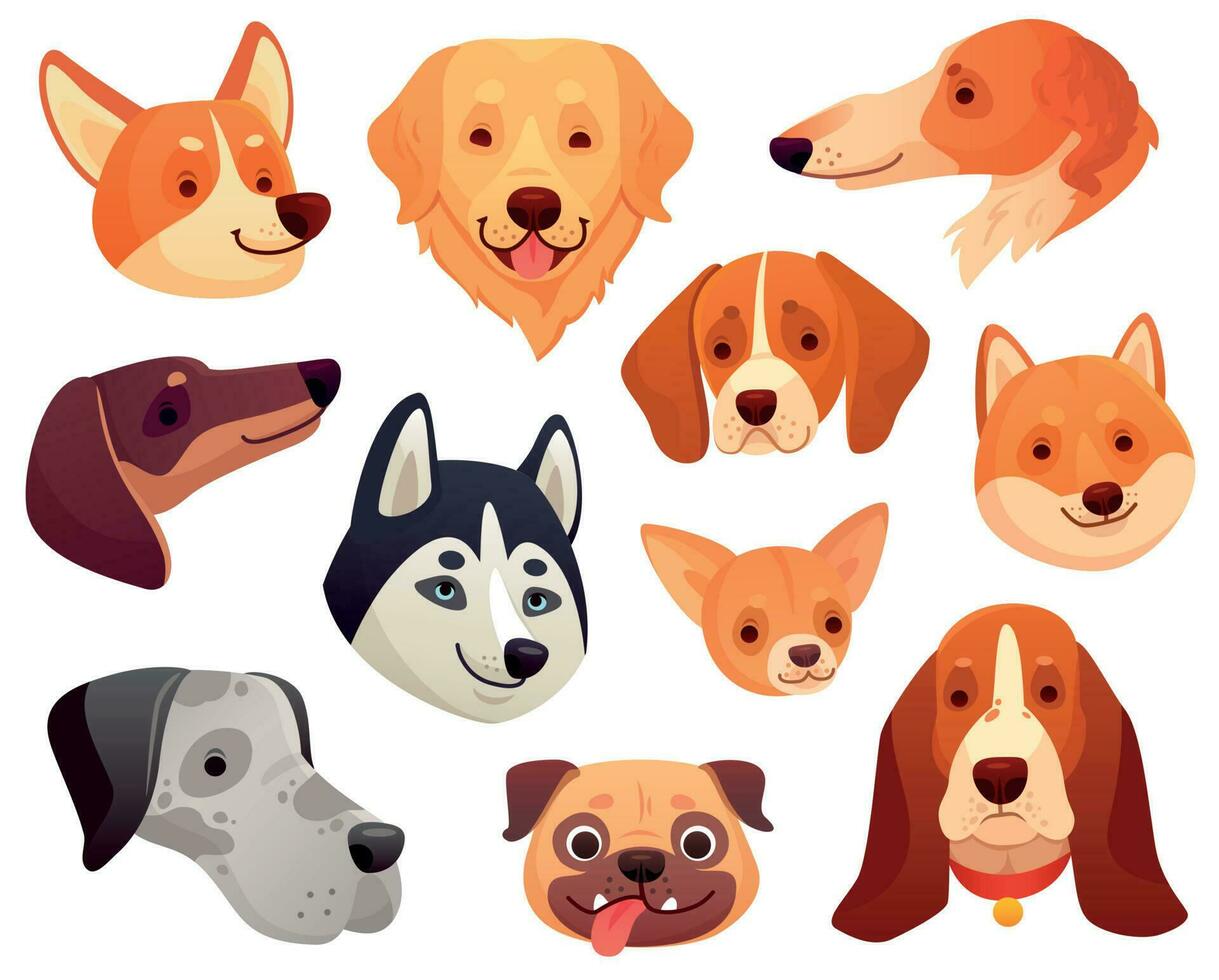 cartone animato cane testa. divertente cucciolo animale domestico museruola, sorridente cane viso e cani isolato vettore illustrazione collezione