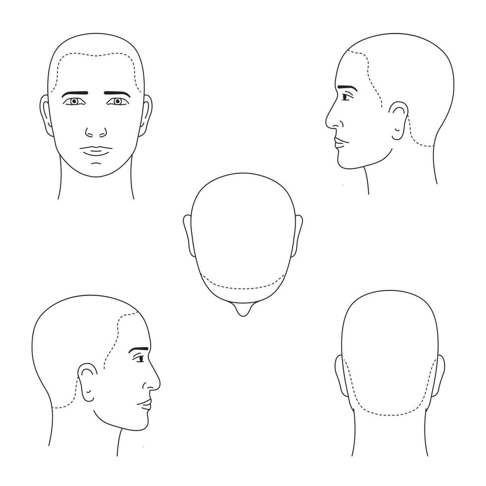 isolato vettore nero e bianca maschio teste nel diverso proiezioni. viso e capelli crescita linea