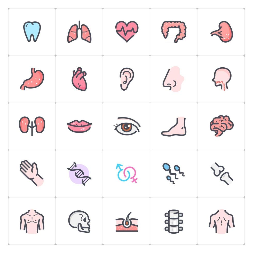 linea di anatomia umana con icona a colori vettore