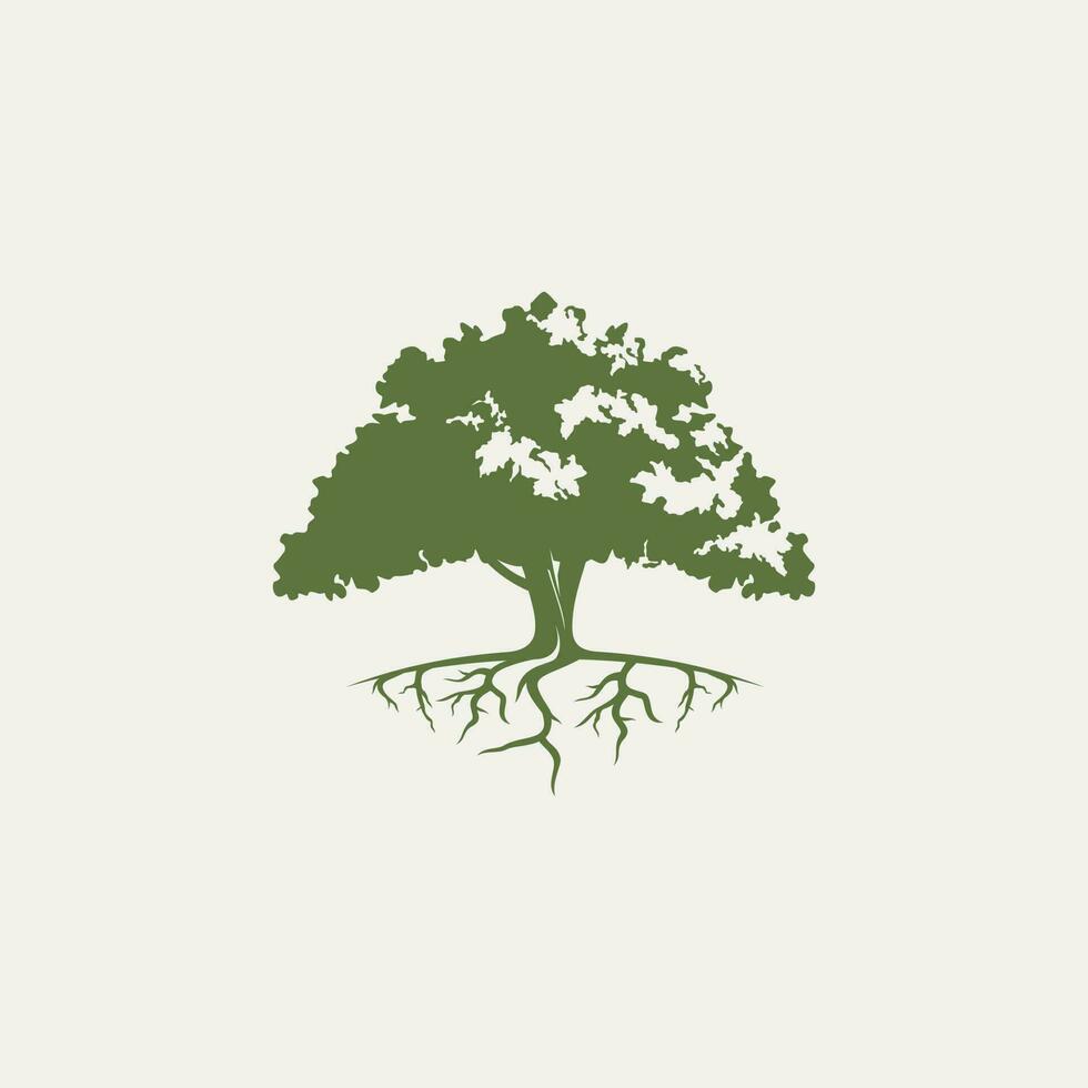 albero e radici logo design vettore isolato, astratto albero logo design