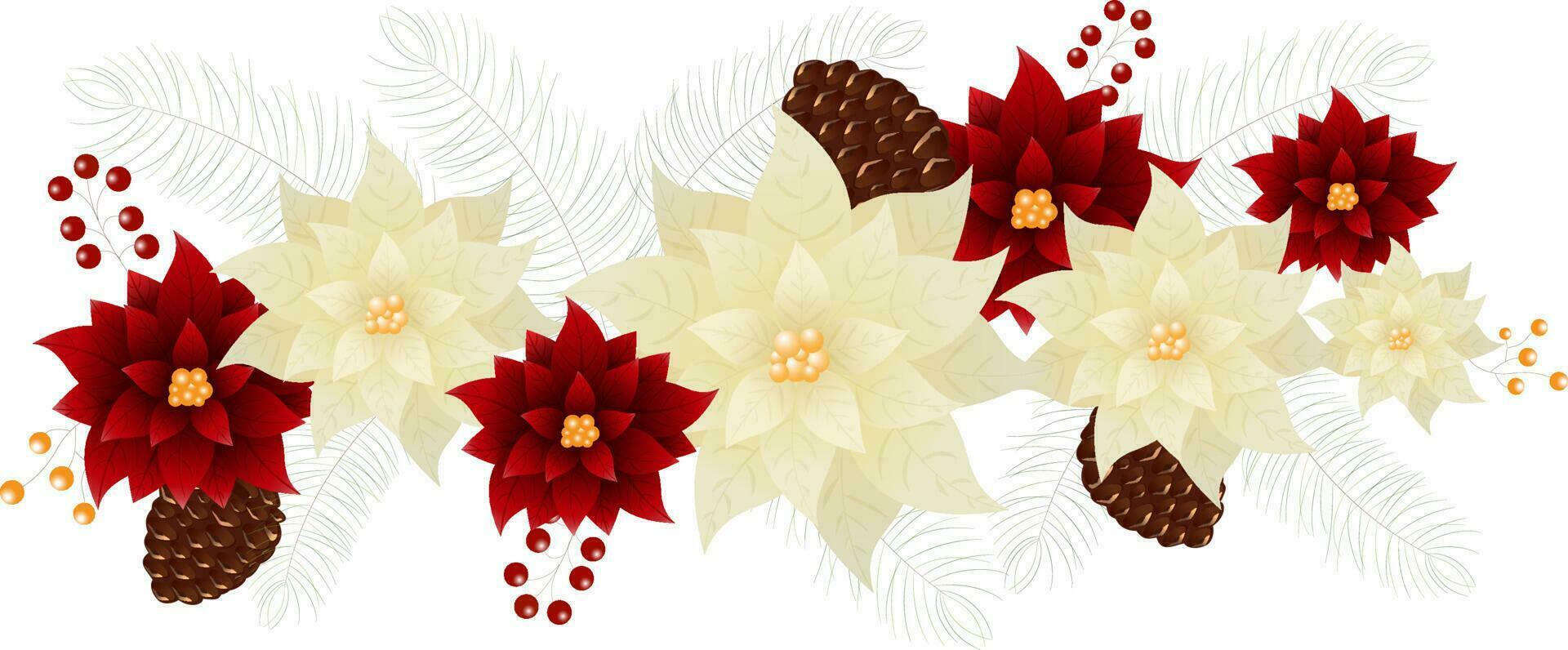 poinsettia fiore con abete foglie, pino cono e frutti di bosco copia spazio bianca sfondo. vettore