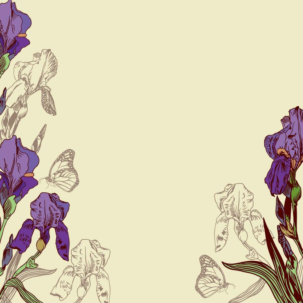 iris fiori e farfalle. vettore sfondo con viola iridi e farfalle. design elemento per saluto carte, nozze inviti, striscioni, volantini.