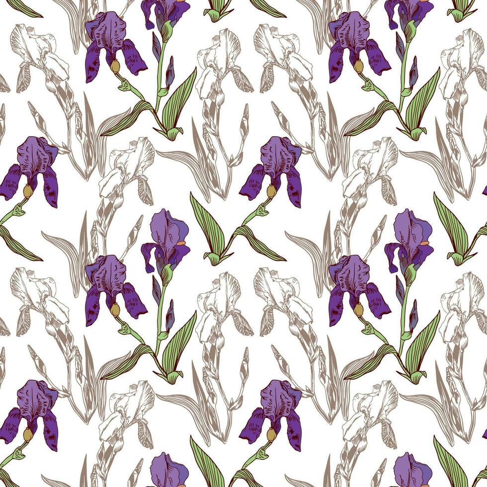 vettore viola iridi con foglie, iris silhouette. fiore senza soluzione di continuità modello per bambino tessili, involucro carta, saluto carte, sfondi e copertine.