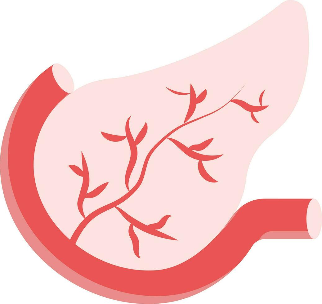 piatto illustrazione di pancreas anatomia rosso icona. vettore