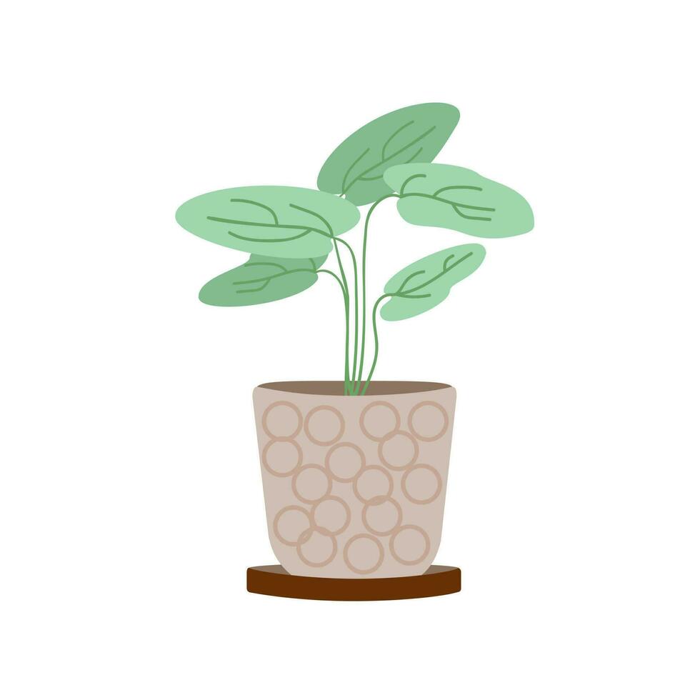 homeplant nel un' argilla di moda vaso di fiori, verde pianta mano disegnato nel semplice stile botanico vettore illustrazione, simbolo di comfort e accogliente casa, eco-friendly minimalista concetto