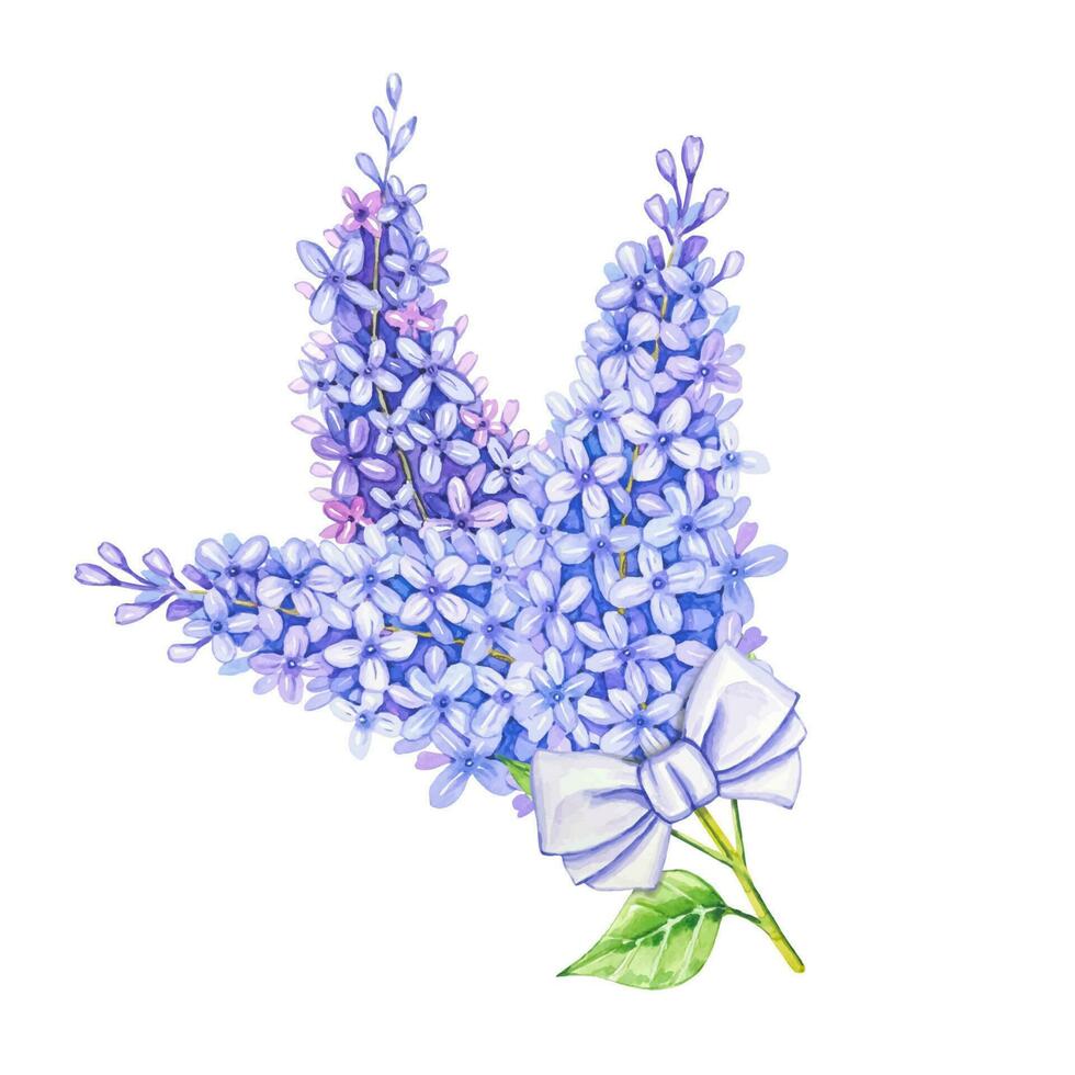 acquerello mazzo di lilla fiore con viola arco vettore